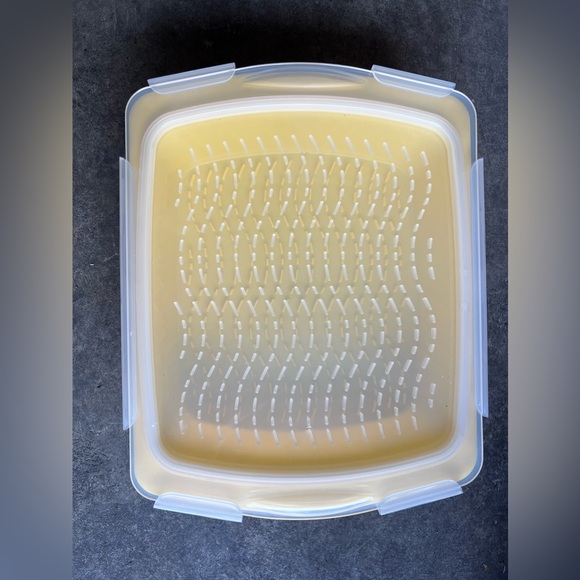 Marinade‎ Tray with Snap Lid - Picture 1 of 3
